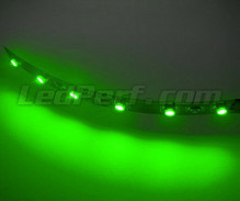 Banda flexible estándar de 6 LEDs cms TL verde