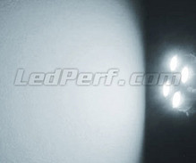 Pack luces de posición de LED (blanco xenón) para Jaguar XJ8