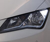 Pack LEDs luces de circulación diurna de LED (blanco xenón) para Seat Leon 3 (5F)