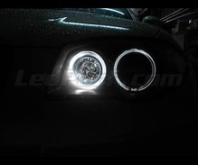 Pack angel eyes  de LEDs (blanco puro) para BMW Serie 1 fase 2 - Estándar