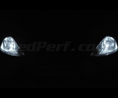 Accor sequía loseta Pack de LEDs de luces de posición para Ford Focus MK1