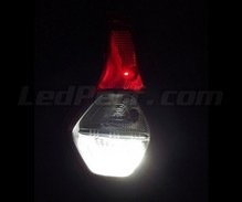 Pack de LEDs (blanco 6000K) luces de marcha atrás para Dacia Lodgy