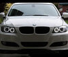 Pack de LEDs Angel eyes BMW Serie 3 (E90 - E91) Fase 2 - Con xenón original - Estándar
