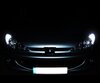 Pack de luces de posición de LED (blanco xenón) para Peugeot 206