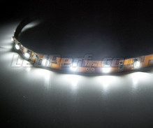 Banda flexible estándar de 50cm (30 LEDs cms) blanco