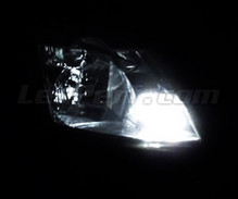 Pack luces de posición de LED (blanco xenón) para Renault Modus