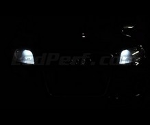 Pack luces de posición de LED (blanco xenón) para Audi A4 B7