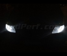 Pack luces de posición de LED (blanco xenón) para Lancia Ypsilon
