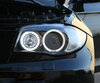 Pack angel eyes de LEDs (blanco puro) para BMW Serie 1 fase 2 - MTEC V3.0