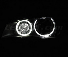 Pack angel eyes H8 LEDs (blanco puro 6000K) para BMW X3 (F25) - Estándar