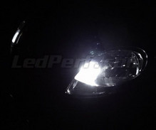 Pack luces de posición de LED (blanco xenón) para Renault Trafic 2