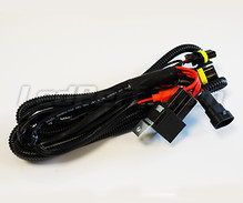 Haz de cables con relé para Kit Xenón HID H8 - H11