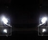 Pack antinieblas de LED (blanco xenón) para Ford Focus MK2