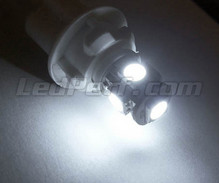 Pack luces de posición de LED (blanco xenón) para Nissan Cube