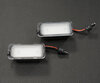 Pack de 2 módulos de LED placa de matrícula trasera FORD (tipo 1)