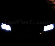 Pack luces de posición de LED (blanco xenón) para Fiat Stilo
