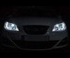 Pack de luces de posición (blanco xenón) para Seat Ibiza 6J