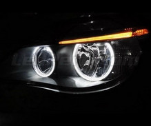 Pack angel eyes de LEDs BMW Serie 5 E60 E61 F 2 (LCI) - Sin xenón de origen