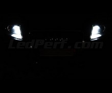 Pack luces de posición de LED (blanco xenón) para Audi A6 C6