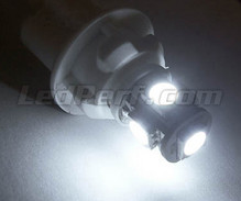 Pack luces de posición de LED (blanco xenón) para Volkswagen Passat CC