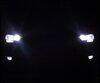 Pack de bombillas de faros Xenón Efecto para Audi A4 B8