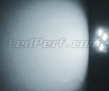 Pack de luces de posición de LED blanco xenón para Dacia Duster (no rediseñado)