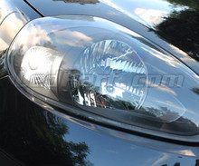 Pack luces de circulación diurna (blanco xenón) para Fiat Grande Punto / Punto Evo