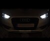 Pack luces de posición de LED (blanco xenón) para Audi A3 8V