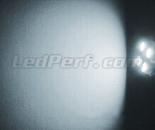 Pack luces de posición de LED (blanco xenón) para Volvo C70