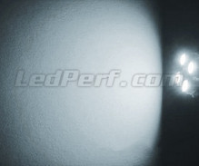 Pack luces de posición de LED (blanco xenón) para Suzuki Grand Vitara