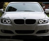 Pack angel eyes de LEDs para BMW Serie 3 (E90 - E91) Fase 2 (LCI) - Con xenón de origen - MTEC V3.0