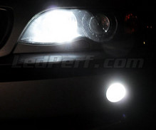Pack de bombillas LEDs antiniebla (Xenón efecto) para BMW Serie 3 (E46)