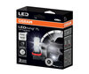 Bombillas H8 LED Osram LEDriving Standard para antinieblas