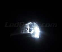 Pack de luces de posición de LED (blanco xenón) para Fiat Grande Punto