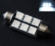 Bombilla tipo festoon 39 mm LEDs blancas - Full Intensity