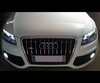 Pack de bombillas antiniebla Xenón Efecto para Audi Q5