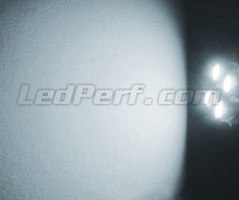 Pack luces de posición de LED (blanco xenón) para Volkswagen Lupo