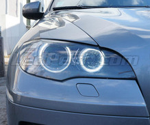 Pack angel eyes H8 LEDs (blanco puro 6000K) para BMW X5 (E70) - MTEC V3.0