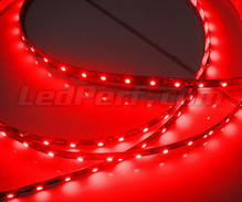 Banda flexible 24V de 1 metro (60 LEDs cms) rojo