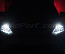Pack luces de posición de LED (blanco xenón) para Toyota Prius