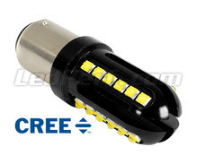 Bombilla P21W LED Ultimate Ultrapotente - 24 LEDs CREE - Antierror ODB