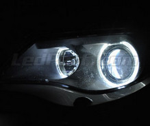 Pack angel eyes de LEDs para BMW Serie 6 (E63 E64) Fase 1 - Con Xenón de origen -MTEC V3